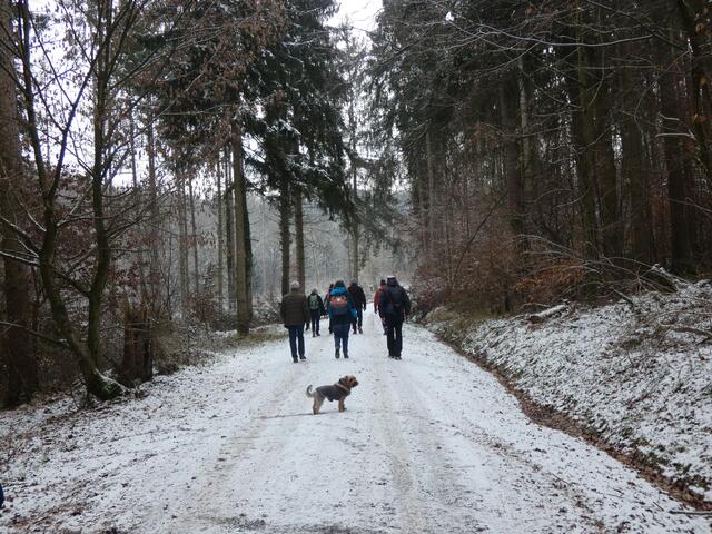 Schön, im winterlichen Wald zu wandern.  | Foto: sigischlottke