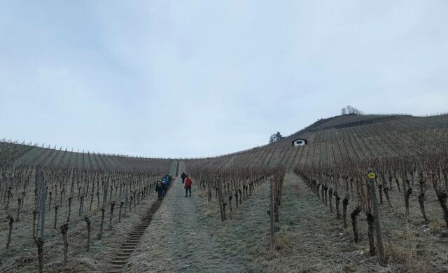 Ganz viele Stäffele geht's himmelwärts.  | Foto: sigischlottke