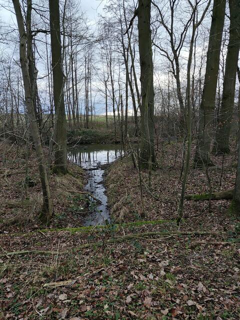 Foto: Gudrun Schickert