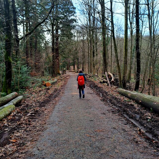 Foto: Eduard Warenik 