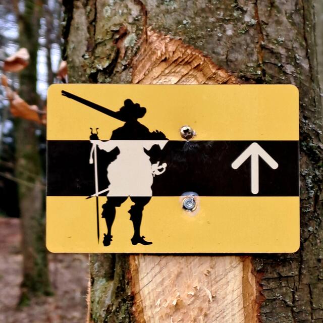 Foto: Eduard Warenik 