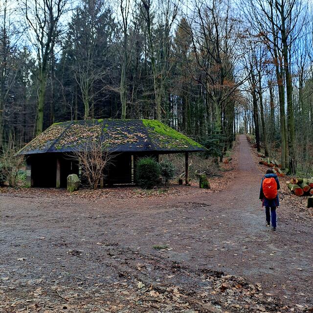 Foto: Eduard Warenik 