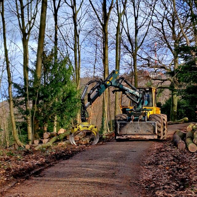 Foto: Eduard Warenik 