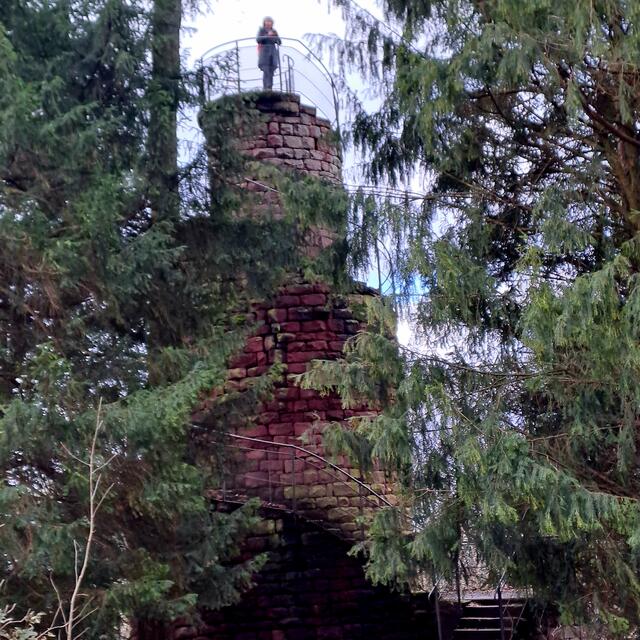 Foto: Eduard Warenik 