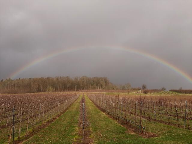unterwegs gesehen (nur wenig Regen bei uns) | Foto: E. Rosendorf