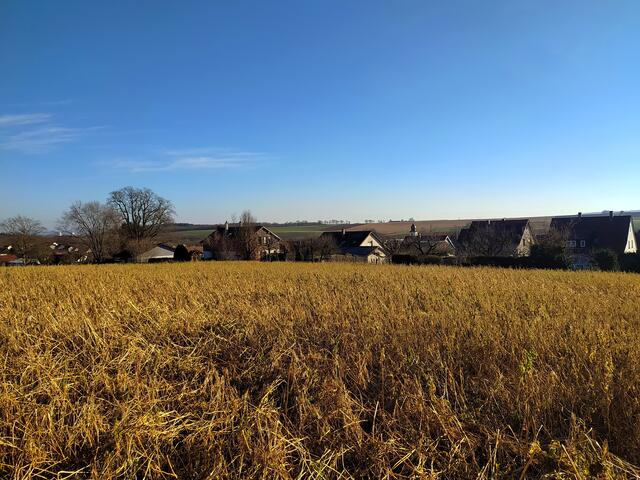 Blick über die Felder auf Bonfeld | Foto: sigischlottke