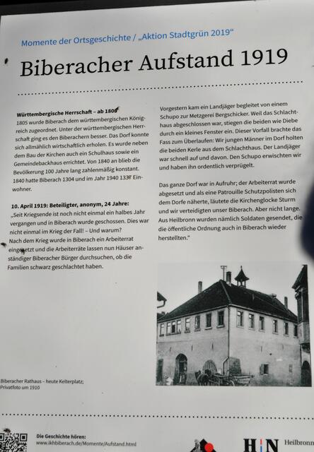 Die Schilder der Geschichte von Biberach der Reihe nach. | Foto: Daniela Somers