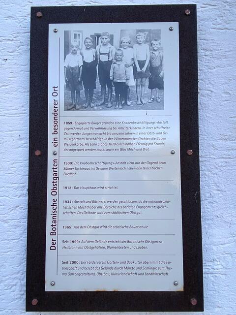 Foto: Heide Böllinger aus Bad Friedrichshall