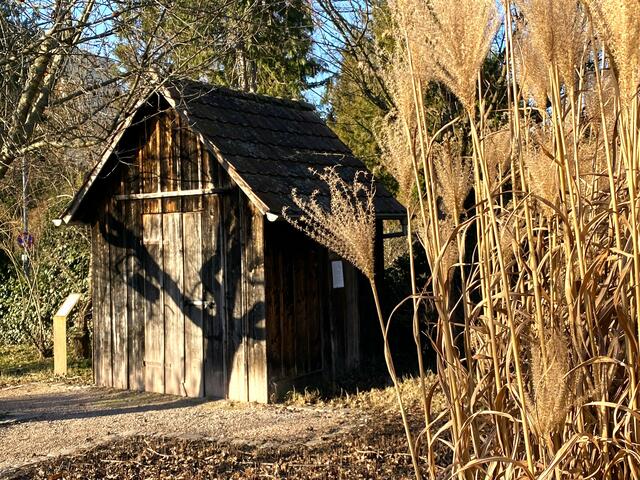 Foto: Heide Böllinger aus Bad Friedrichshall