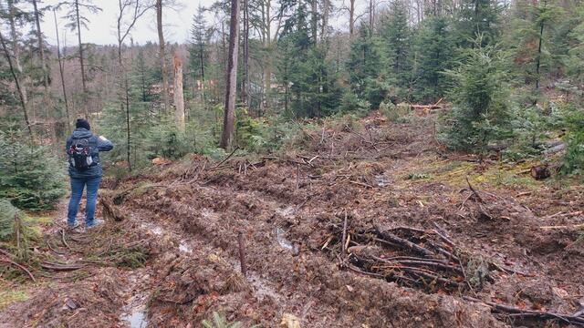 das ist ein Wanderweg🤬 | Foto: Ralf Röser