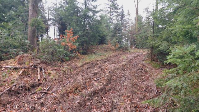 das ist ein Wanderweg🤬, da hoch | Foto: Ralf Röser