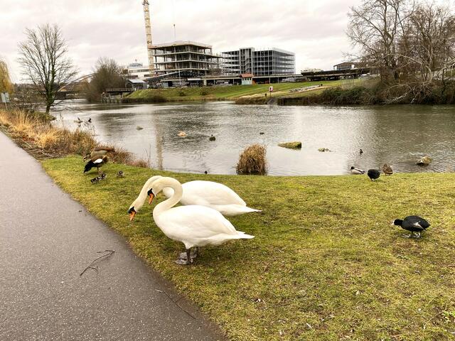 Foto: Heide Böllinger aus Bad Friedrichshall