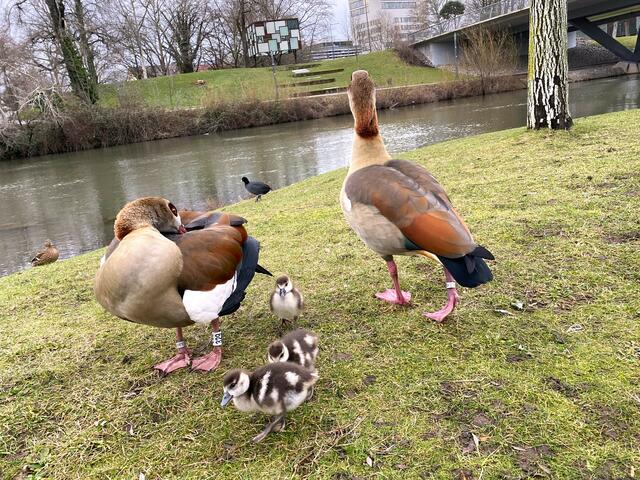Foto: Heide Böllinger aus Bad Friedrichshall