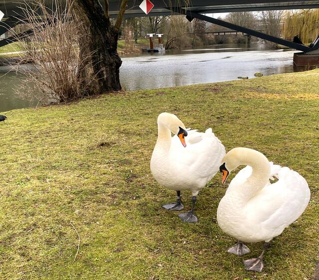 Foto: Heide Böllinger aus Bad Friedrichshall