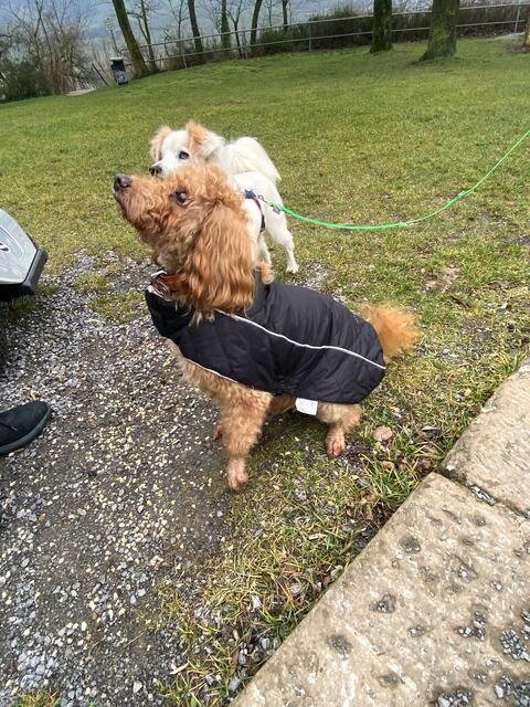 Foto: Heide Böllinger aus Bad Friedrichshall