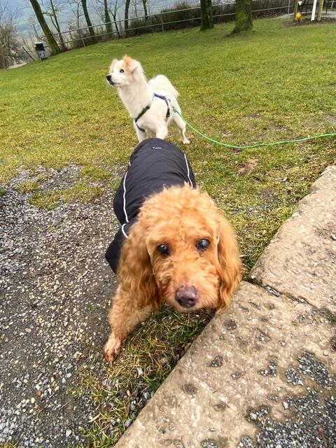 Foto: Heide Böllinger aus Bad Friedrichshall