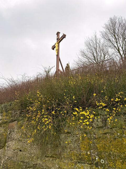 Foto: Heide Böllinger aus Bad Friedrichshall
