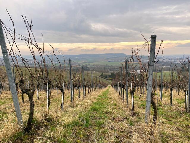 Foto: Heide Böllinger aus Bad Friedrichshall