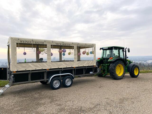 Foto: Heide Böllinger aus Bad Friedrichshall