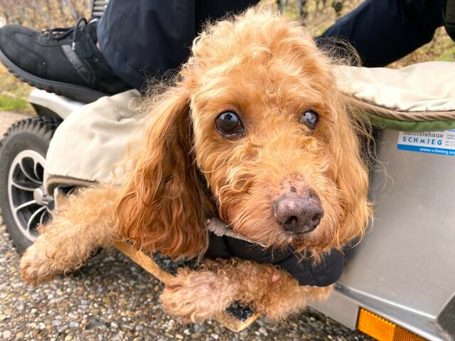 Foto: Heide Böllinger aus Bad Friedrichshall