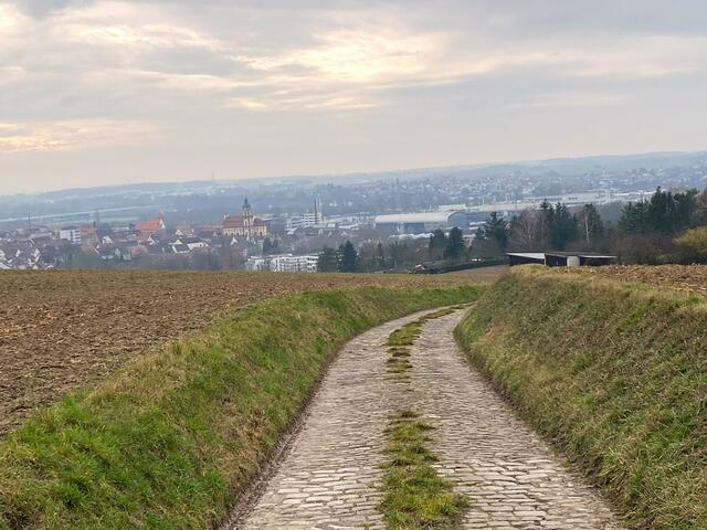 Foto: Heide Böllinger aus Bad Friedrichshall