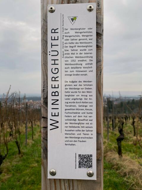 Foto: Heide Böllinger aus Bad Friedrichshall