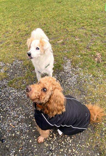Foto: Heide Böllinger aus Bad Friedrichshall
