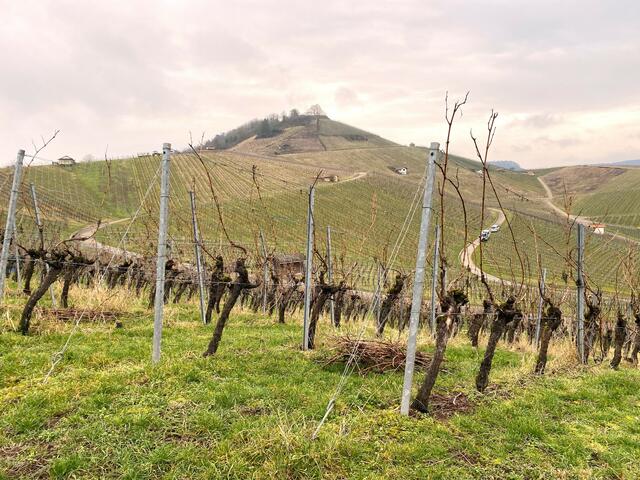 Foto: Heide Böllinger aus Bad Friedrichshall
