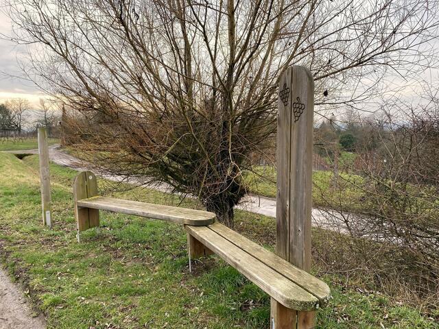 Foto: Heide Böllinger aus Bad Friedrichshall