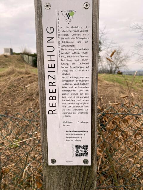 Foto: Heide Böllinger aus Bad Friedrichshall