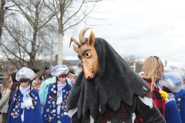 Foto: Sandra Martines