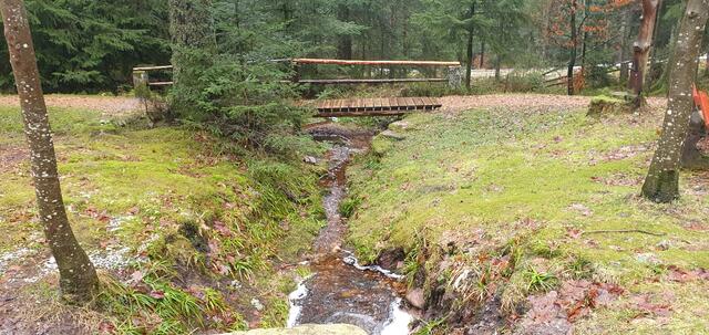 Foto: privat Walter Pfenning, Sibylle und Robert Tröber