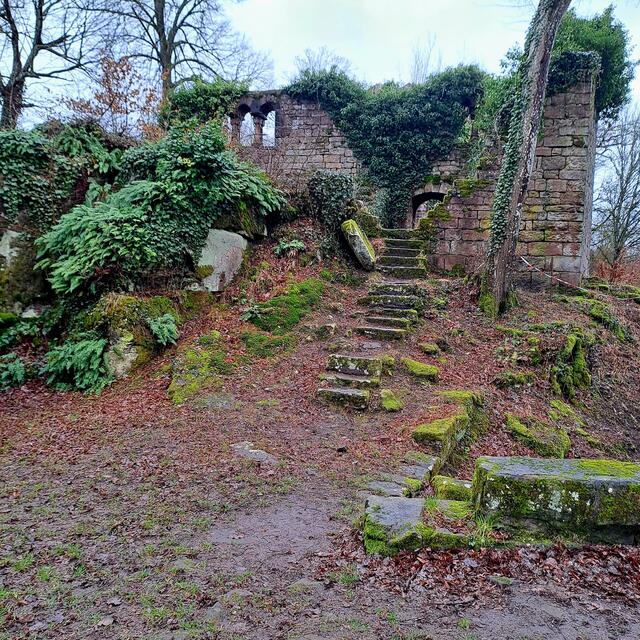 Foto: Eduard Warenik 