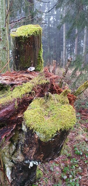 Foto: privat Walter Pfenning, Sibylle und Robert Tröber
