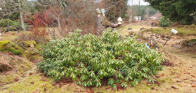 Foto: privat Walter Pfenning, Sibylle und Robert Tröber