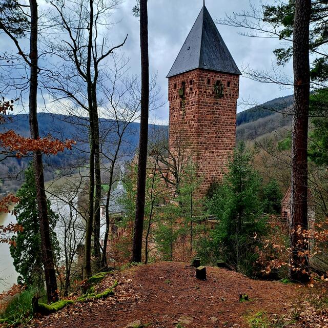 Foto: Eduard Warenik 