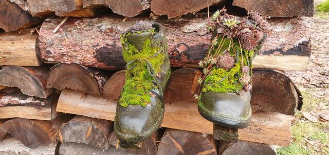 Foto: privat Walter Pfenning, Sibylle und Robert Tröber