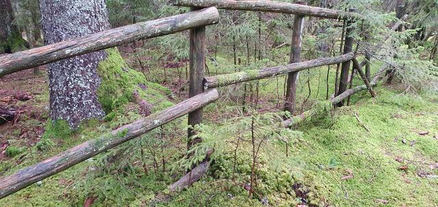 Foto: privat Walter Pfenning, Sibylle und Robert Tröber