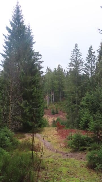 Foto: privat Walter Pfenning, Sibylle und Robert Tröber