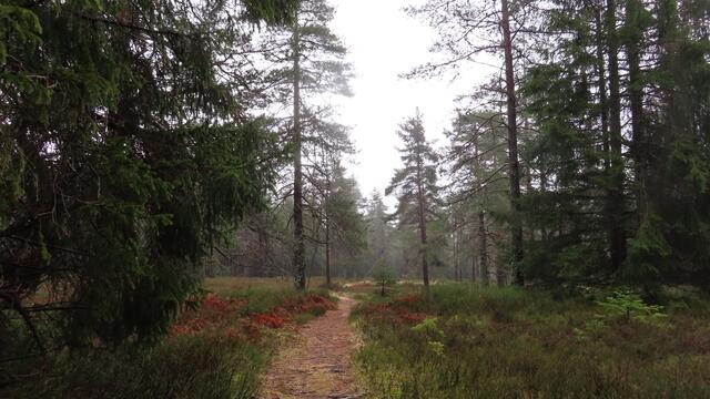 Foto: privat Walter Pfenning, Sibylle und Robert Tröber