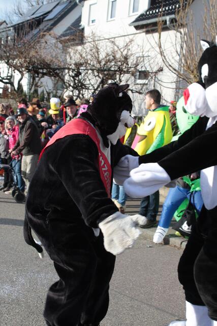 Foto: Sandra Martines