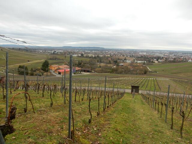 Aussichten auf Heilbronn | Foto: E. Rosendorf