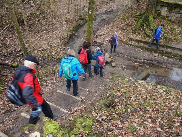 durch den Stadtwald von Heilbronn | Foto: E. Rosendorf