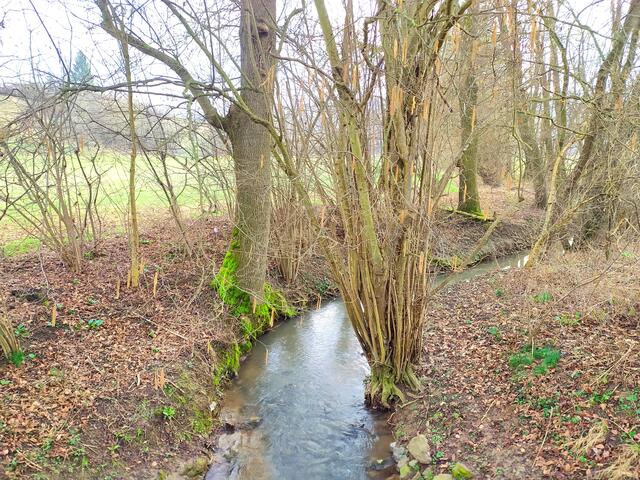 Ein Bächle wird gequert. Es ist gut mit Wasser gefüllt nach all dem Regen | Foto: sigischlottke