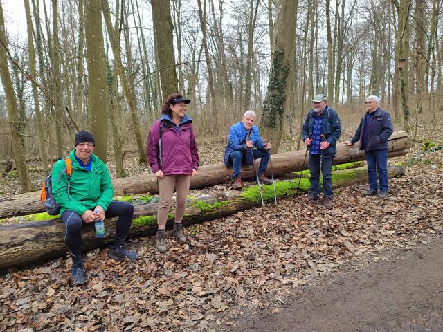 Nochmal kurz ausruhen vor dem Endspurt - Baumstämme sind da immer willkommen | Foto: sigischlottke