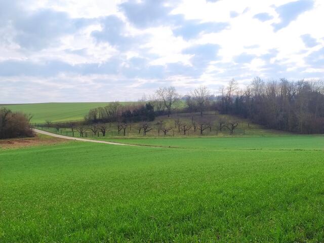 Weite Ausblicke über die Wiesenlandschaft | Foto: sigischlottke