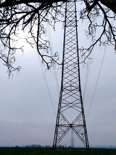 Auch der Strommast braucht eine Umarmung | Foto: sigischlottke