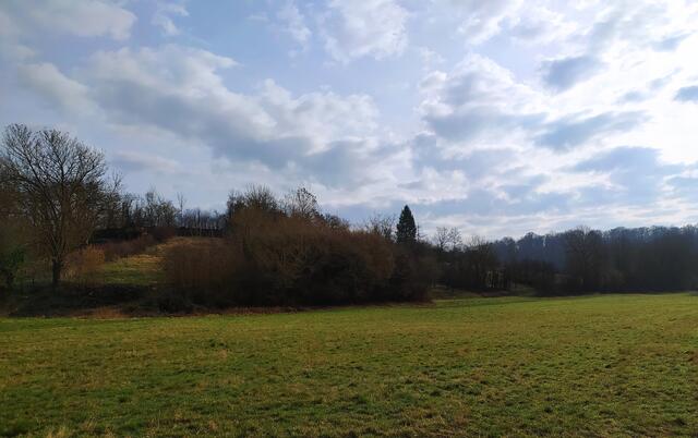 Es ist leicht bewölkt, aber trocken und man spürt den nahenden Frühling | Foto: sigischlottke