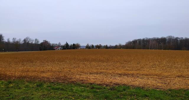 Blick über die Felder | Foto: sigischlottke