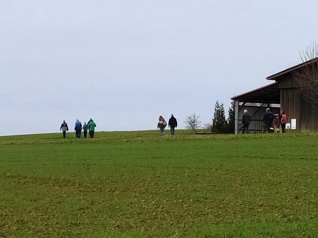 Dort oben laufen sie....  | Foto: sigischlottke